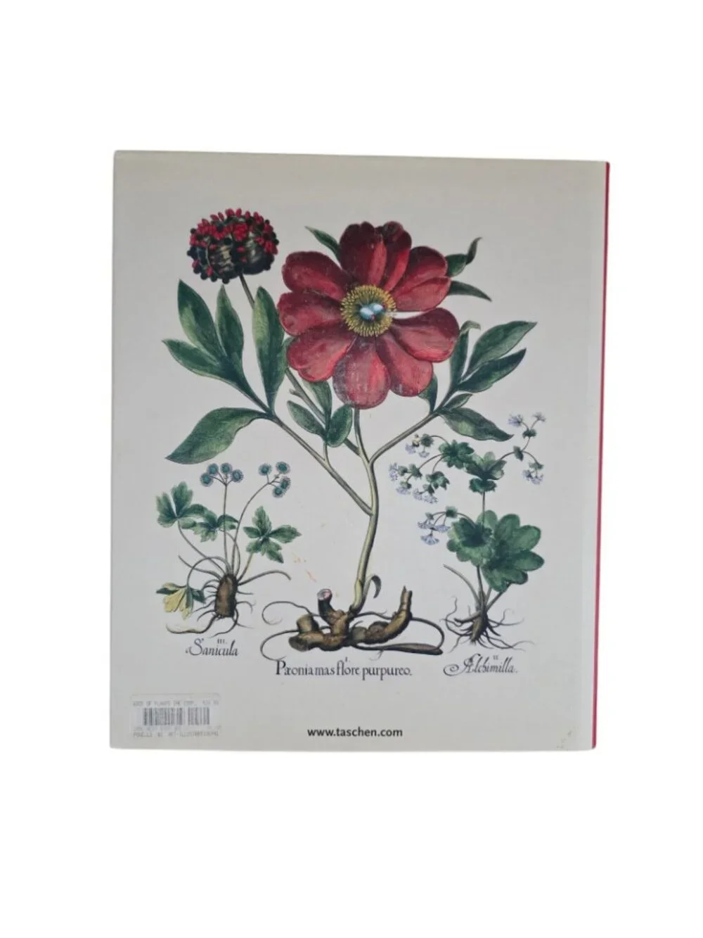 The Book of Plants: The Complete Plates Taschen 25th Anniversary Besler HCDJ